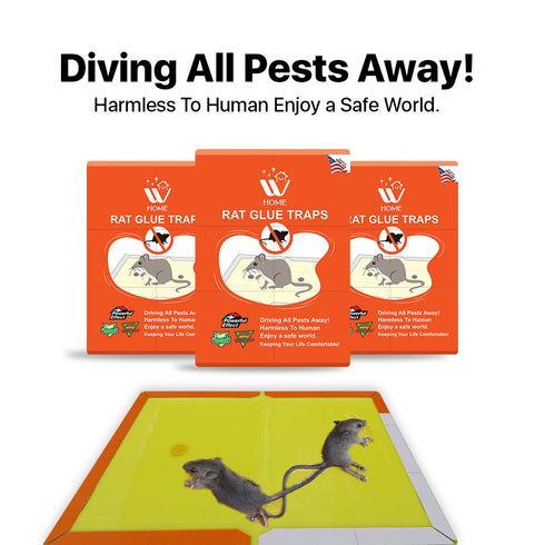Rat Glue Trap Large - 6 Pcs | WBM HOME